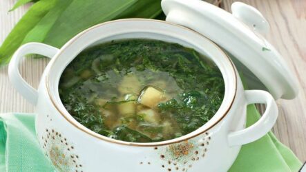 Суп из черемши: 5 рецептов