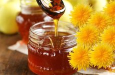 Варенье из цветков одуванчиков: 7 солнечных рецептов