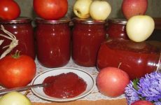 Кетчуп с яблоками и помидорами: 8 рецептов на зиму