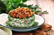 Мужской салат с грибами: 8 сытных рецептов
