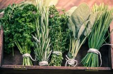 Как дольше сохранить зелень свежей в холодильнике?