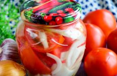 Пальчики оближешь — 7 рецептов, как приготовить самые вкусные помидоры на зиму