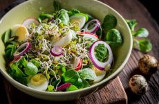 Салат с перепелиными яйцами — 8 пошаговых рецептов