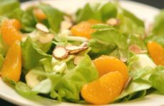 Салат с мандаринами — 10 вкуснейших рецептов к празднику