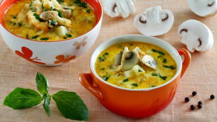 Сырный суп с шампиньонами — 8 сытных рецептов