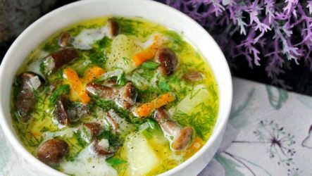 Грибной суп с опятами — 7 рецептов из свежих и замороженных